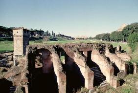 View of the stadium, Roman (photo) 1586