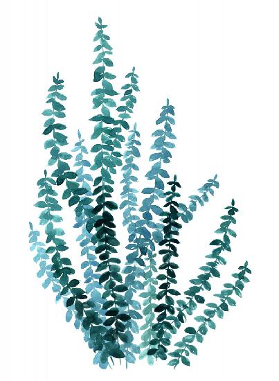 Aquarell-Eukalyptuszweig in Blaugrün