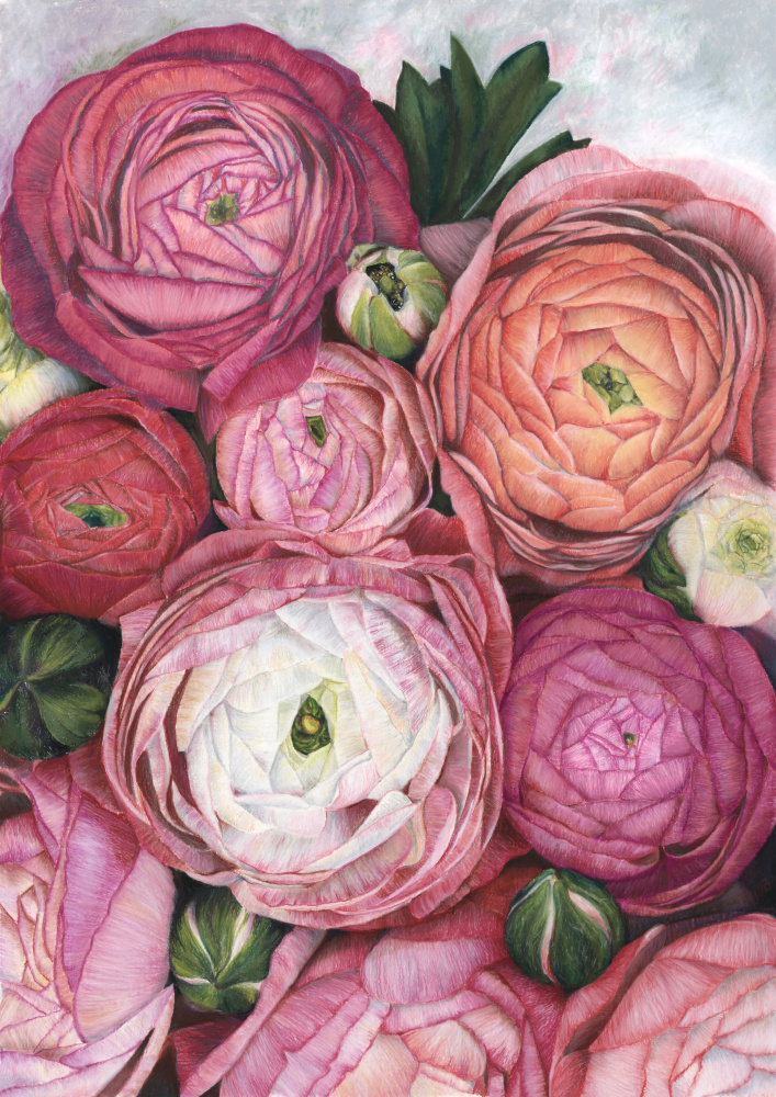 Arleth-Ranunkelnstrauß in warmem Rosa von Rosana Laiz Blursbyai