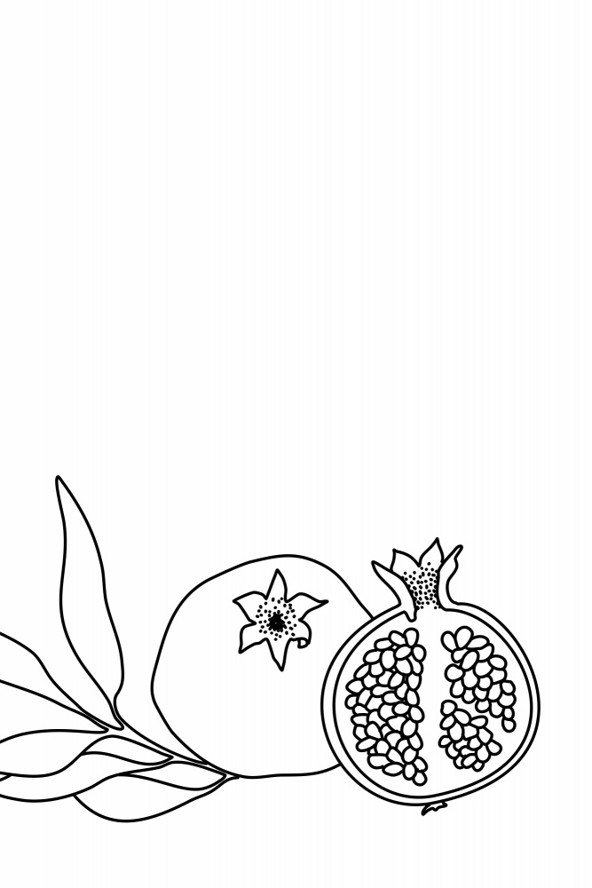 Granatapfel-Strichzeichnung von Rosana Laiz Blursbyai