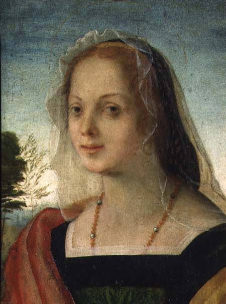Portrait of a Young Girl von Rosso Fiorentino