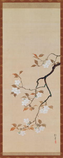 Hanging Scroll Depicting Cherry Blossoms, from A Triptych of the Three Seasons, Japanese, early 19th von Sakai Hoitsu