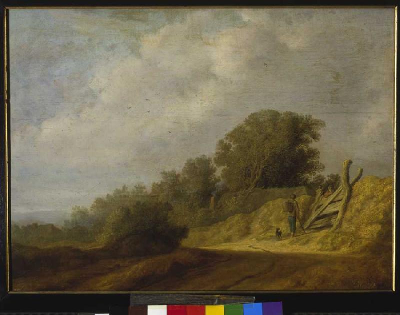 Landschaft mit Weg von Salomon van Ruysdael
