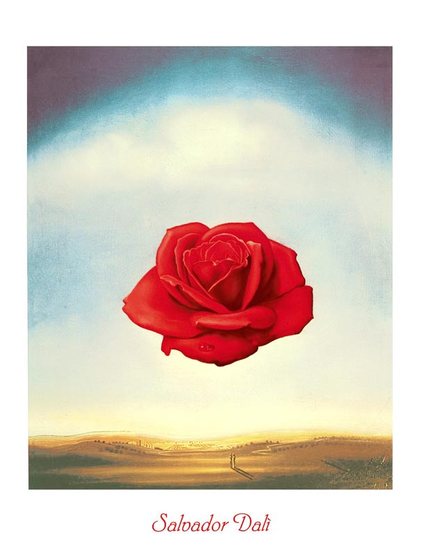 Rose meditative  - (SD-819) von Salvador Dali