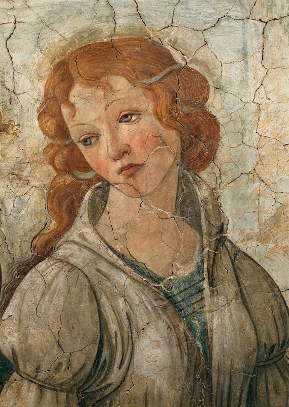 Venus und die drei Grazien (Detail) von Sandro Botticelli