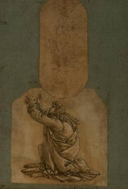 Study of St. Thomas von Sandro Botticelli