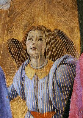Angel, from the 'Coronation of the Virgin' c.1488-90