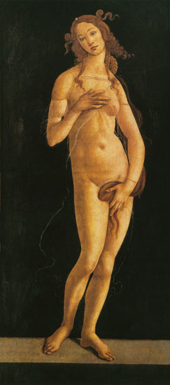 Venus von Sandro Botticelli