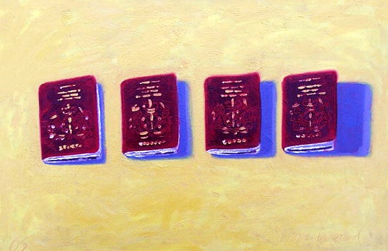 Four Passports von Sara  Hayward