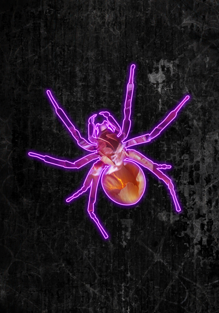 Neon-Halloween-Spinne von Sarah Manovski