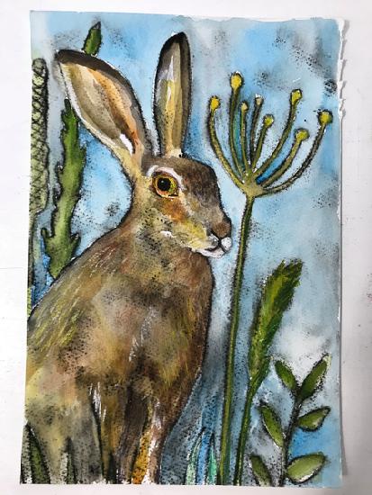 Hare with seed heads 2019