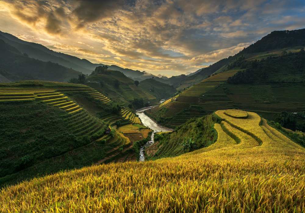 RiceTerrace ( vietnam) von Sarawut Intarob