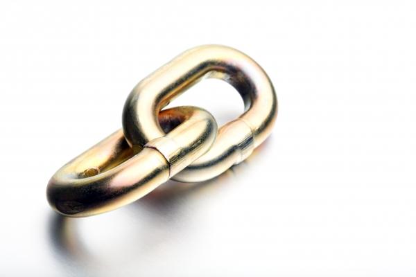 chain link high-key von Sascha Burkard