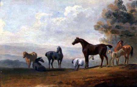 Horses von Sawrey Gilpin
