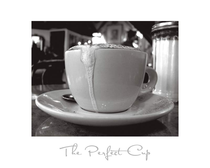 The Perfect Cup von Scott Amour