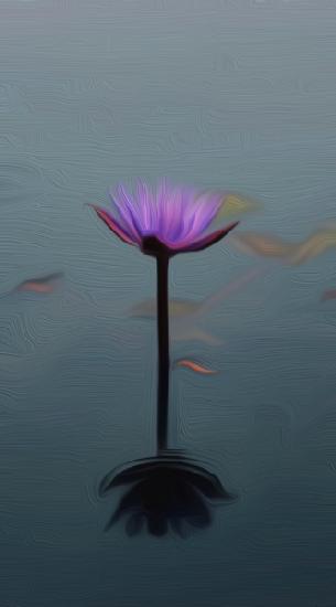 Purple lily 2021