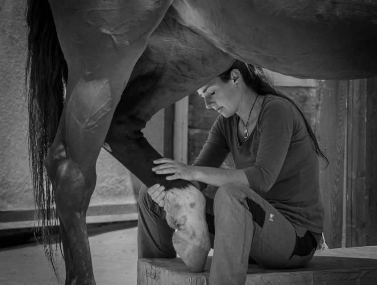Girl treats horse von Sebastian Graf