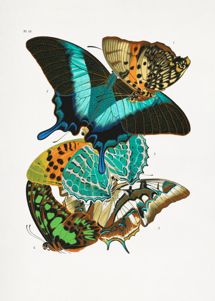 Schmetterlinge 5 von Émile-Allain Séguy