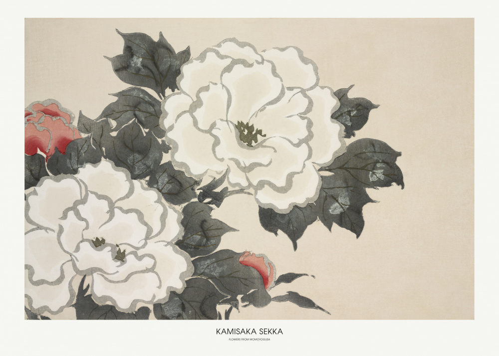 Blumen aus Momoyogusa von Kamisaka Sekka