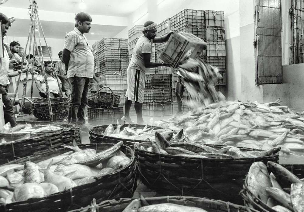 Fischmarkt von Shaibal Nandi