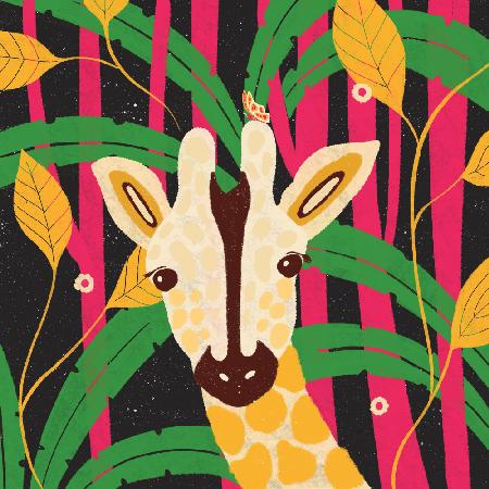 Giraffe-Tier-Trilogie