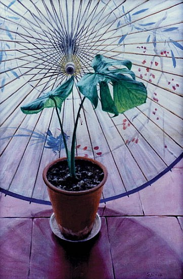 Chinese Umbrella (oil on canvas)  von Simon  Cook