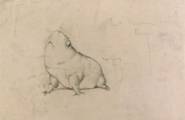 Ochsenfrosch (Karikatur) von Sir Edward Burne-Jones