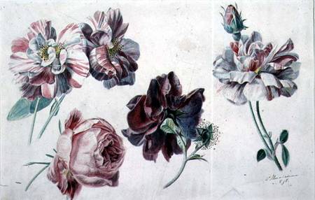 Roses von Sir Lawrence Alma-Tadema