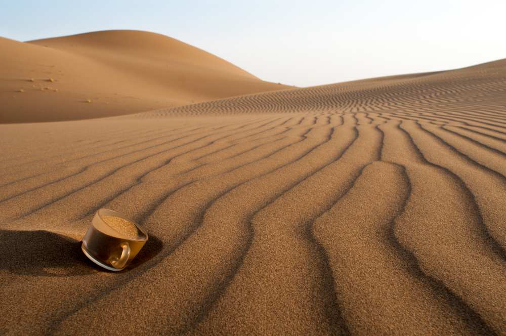 The thirsty desert. von Soheil Soheily