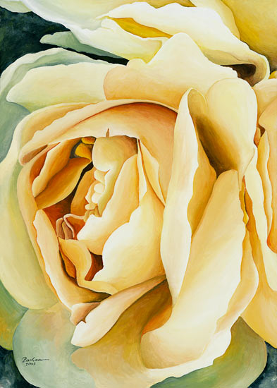 Gelbe Rose (links) von Stefanie Zachmann