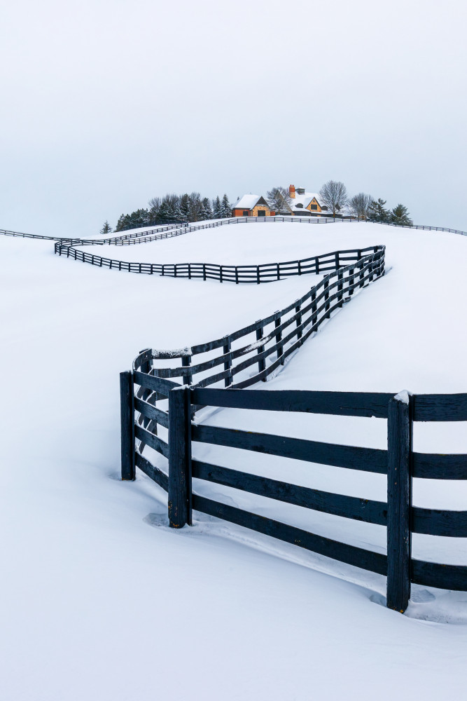 Winter Wunderland von Steven Zhou