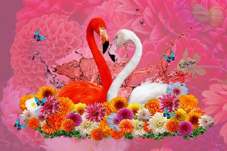 Flamingo- und Dahlien-Frühling