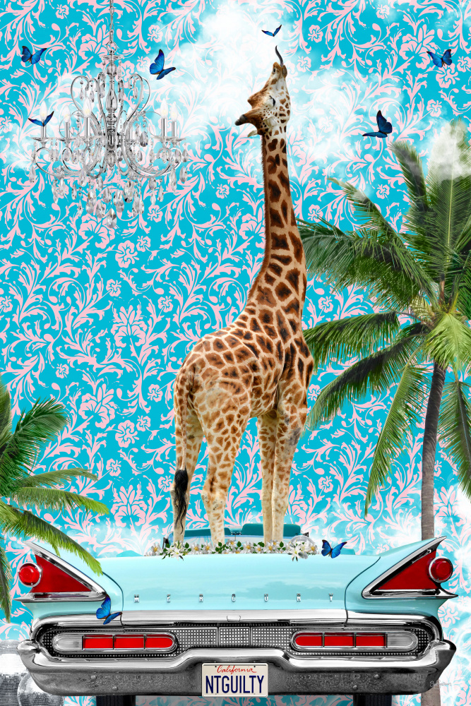 Giraffen-Kalifornien-Traum von Sue Skellern