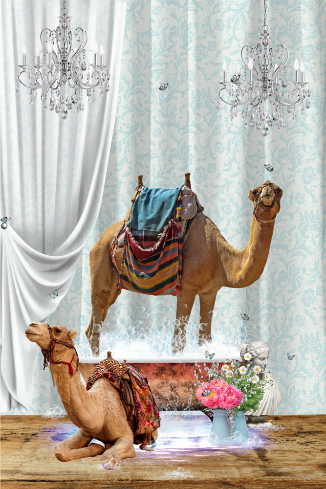 Kamele und Blasen von Sue Skellern