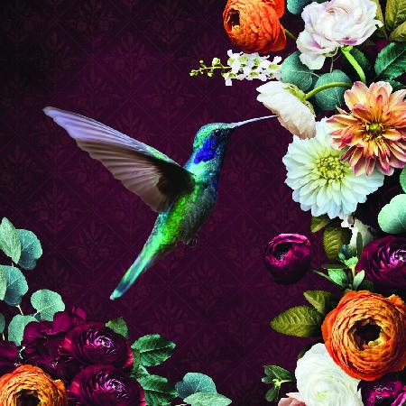 Kolibri und Blumen