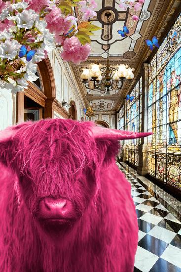 Pinkie Moo Cow ging zum Palast