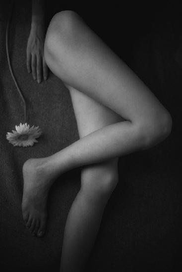 Hand,Beine und Blume