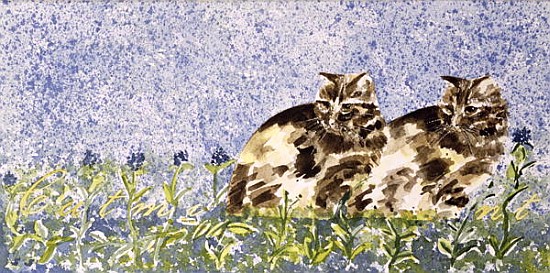Cat Mint (w/c on paper)  von Suzi  Kennett