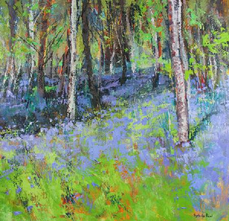 Bluebells and Birches 2017