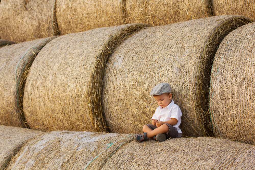 Haystacks von Tatyana Tomsickova