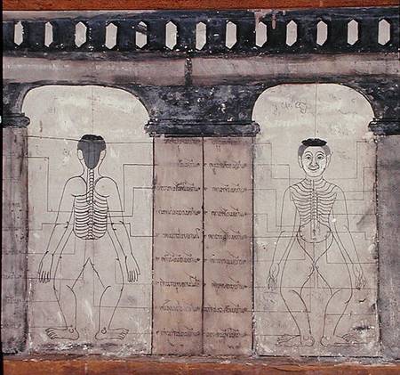 Depiction of massage points on the human body von Thai School