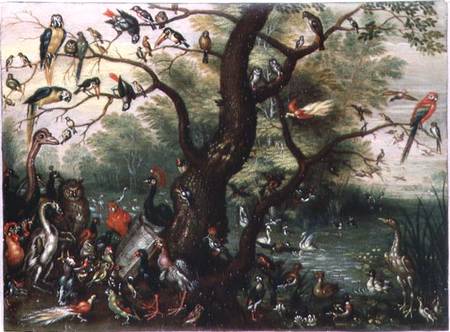 Concert of Birds von the Elder Kessel