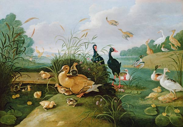 Decorative fowl and ducklings von the Elder Kessel