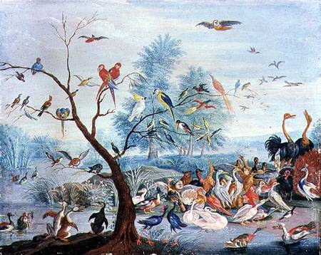 Tropical birds in a landscape von the Elder Kessel