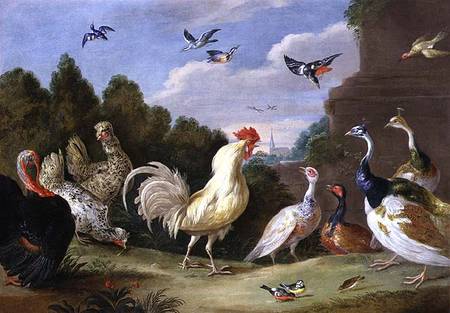 Wooded Landscape with a Cock, Turkey, Hens and other Birds von the Elder Kessel