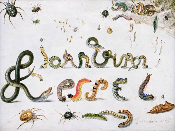 Garden and other spiders, caterpillars spell the artist''s name, 1657 (oil on copper) von the Elder Kessel Jan van