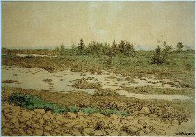 Rollende Steine, Wasser und Sträucher 1893