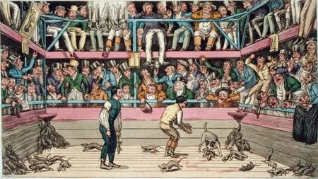 The Celebrated Dog Billy Killing 100 Rats at the Westminster Pit, from 'Anecdotes, Original and Sele von Theodore Lane