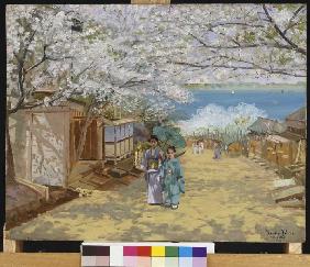 Kirschbaumblüte bei Sonnenschein, Nogeyama, Yokohama 1893