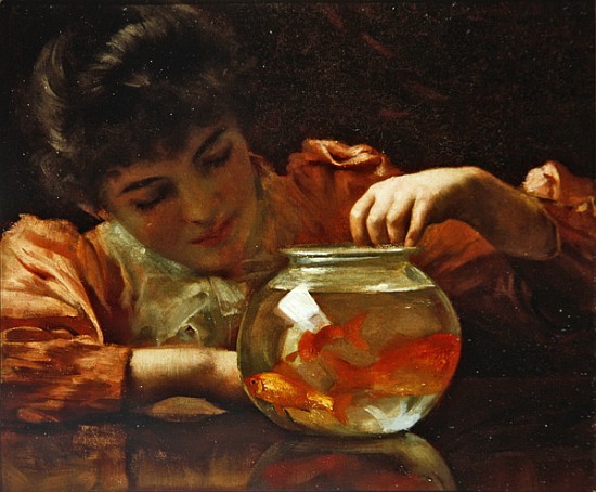 The Goldfish Bowl von Thomas Benjamin Kennington
